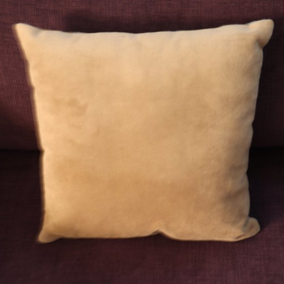 Vine Design PILLOW 11 1/2" x 11 1/2" x 4 light blue tan colors - Picture 2 of 2